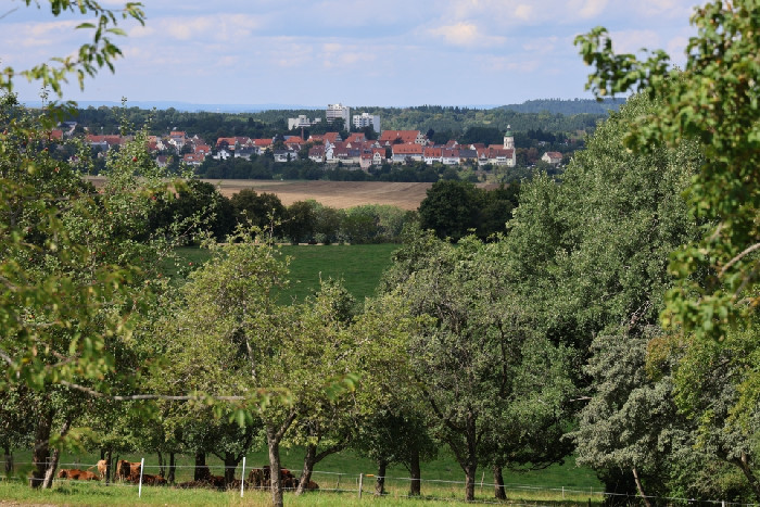 Pension Am Buchberg in Kurort Jonsdorf, Germany