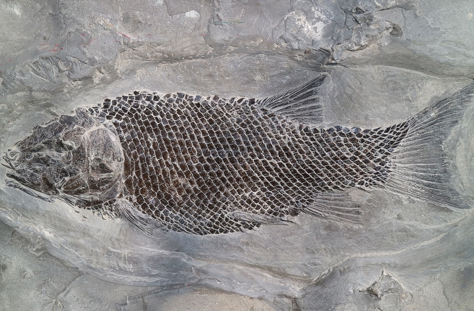 Schiefererlebnis Dormettingen